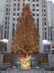 NYクリスマス 003.jpg